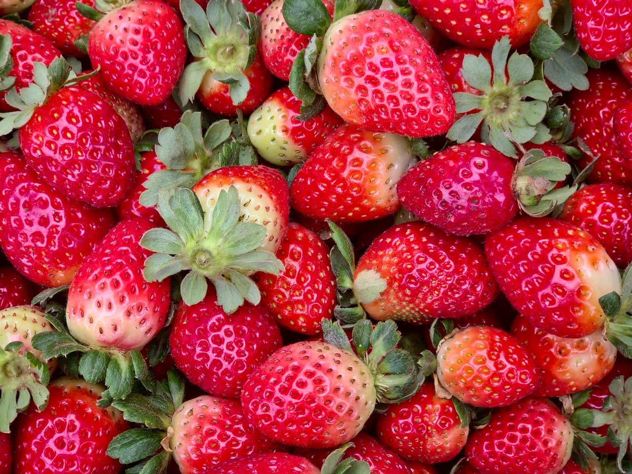 Fresas San Andrea - Imagen 3